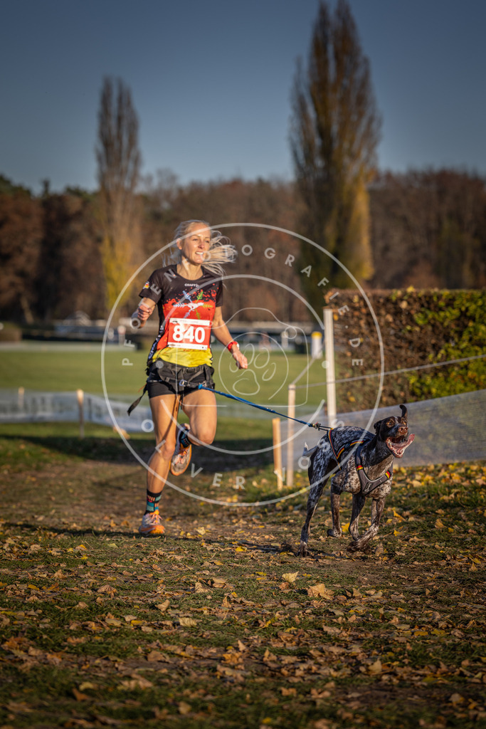 CaniXpix_DV3A3635 | Hundefotografie, Tierfotograf, Pfotenfotografie, Fotoshooting Hund, Hunde Portrait, Hundesport, Hundeportraits, Heideshooting, Hunde, Sportfotograf, Hundefotograf, Turnierhundsport, THS,  - Realisiert mit Pictrs.com