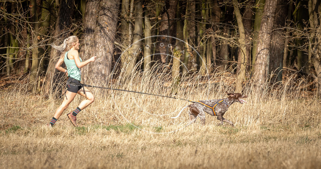 DV3A5682 | Hundefotografie, Tierfotograf, Pfotenfotografie, Fotoshooting Hund, Hunde Portrait, Hundesport, Hundeportraits, Heideshooting, Hunde, Sportfotograf, Hundefotograf, Turnierhundsport, THS,  - Realisiert mit Pictrs.com