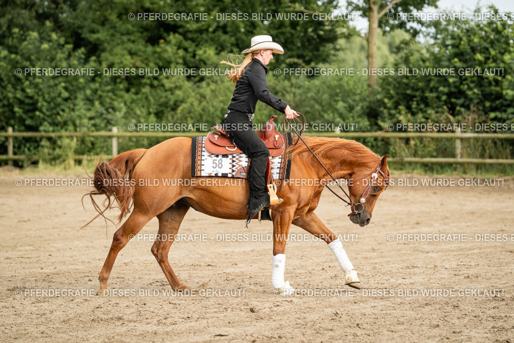 DSC05279 | Pferdegrafie