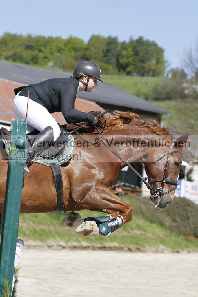 _MG_9434 | equestrian-live-com