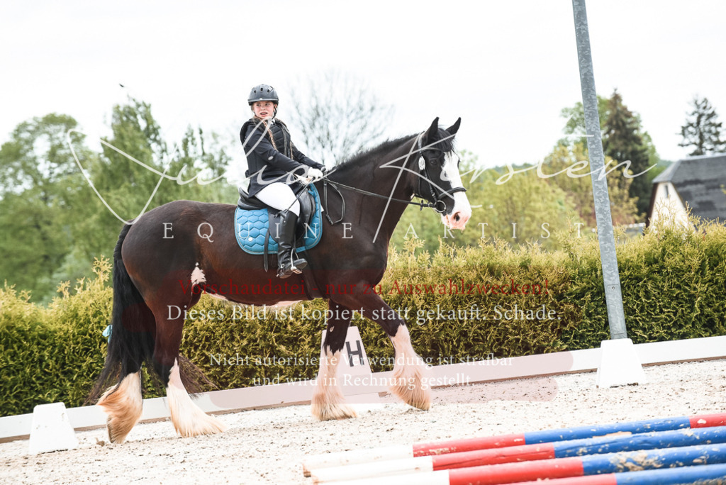 20230518_JK-Röhrsdorf-10-358 | Pferde- und Turnierfotografie in Westsachsen. Pferdeportraits, Auftragszeichnungen und intuitive Kunst.