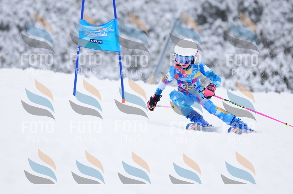 C2704 | holidayphoto