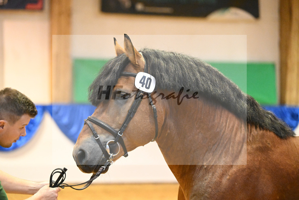 Kat-Nr. 40 Eulenspiegel_Fassbender_53221227 | hf-fotografie - Realizzato con Pictrs.com