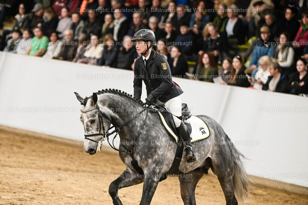 20260307_Hengstvorstellung-Marbach_0104 | equistock