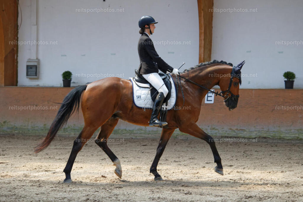 JHE_2368 | JoYa Fotografie - Realisiert mit Pictrs.com