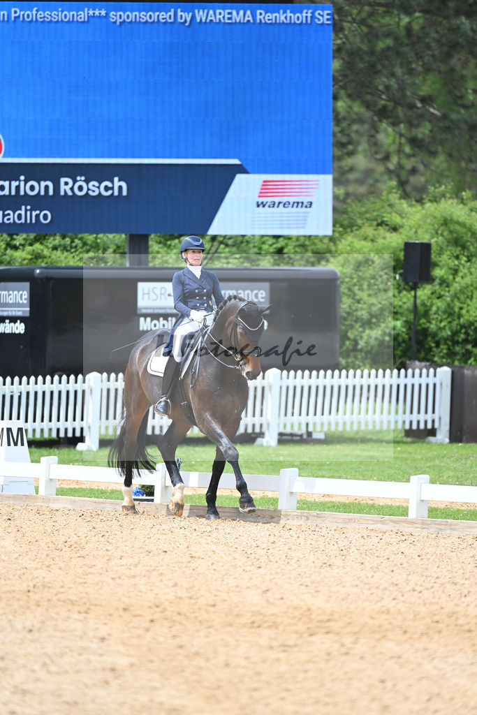 Roesch_Quadiro_11233561 | hf-fotografie - Realisiert mit Pictrs.com