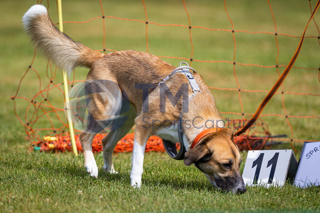 TP-20240815-0182 | Copyright: Trainproduction / Matthias Trinkl