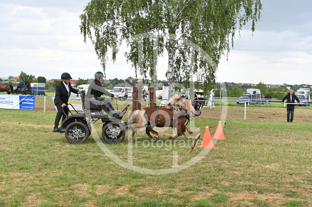 DSC_4496 | sattelsport - Realisiert mit Pictrs.com