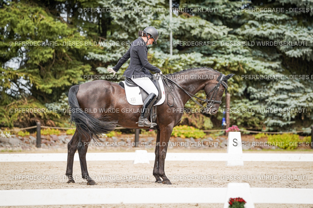 DSC06903 | Pferdegrafie