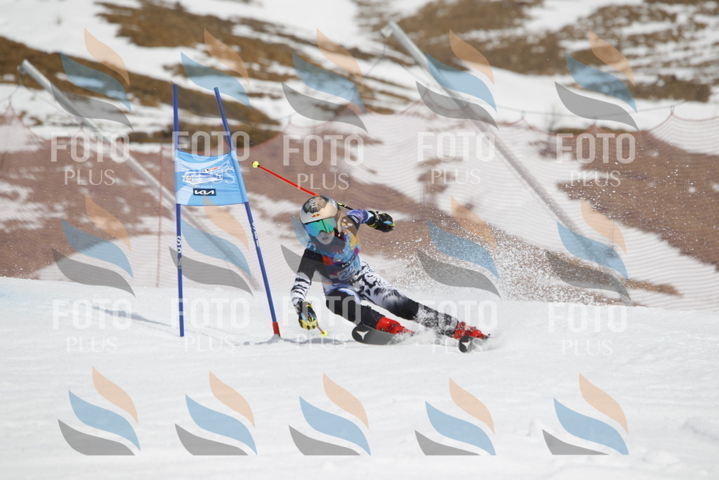 _U3G2455 | holidayphoto