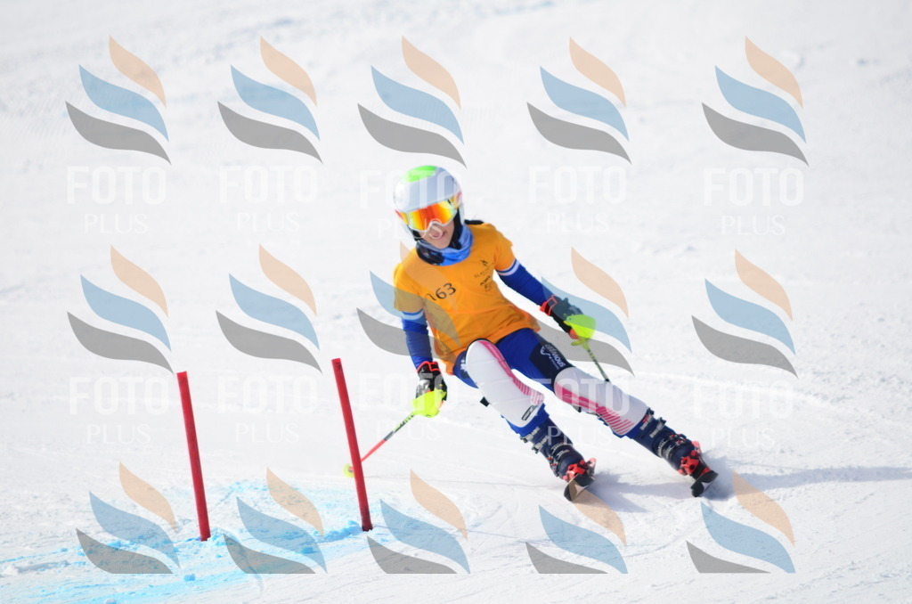 C7845 | holidayphoto