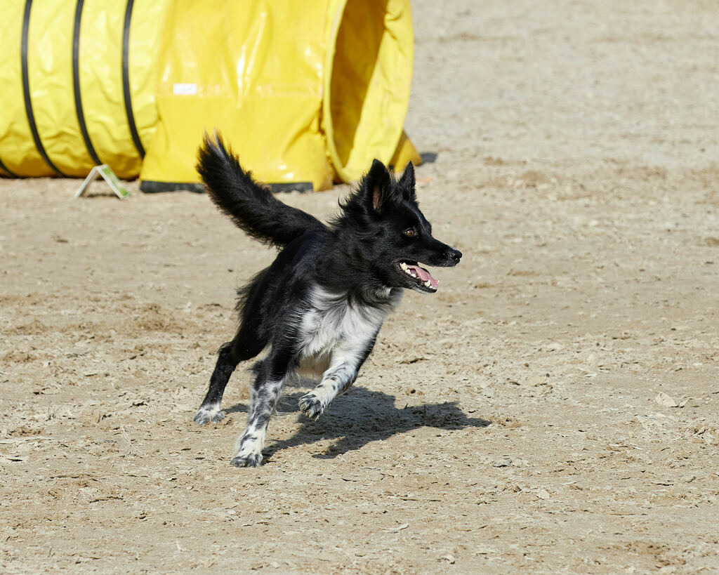 580B0054 | Peter Fridle Fotografie - Realisiert mit Pictrs.com