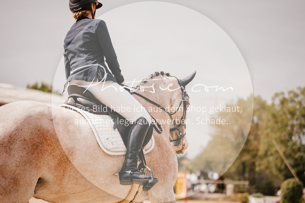3I6A6175 | Stimmungsvolle Portraits und Reitsportfotografie im Ruhrgebiet und im Münsterland.

Pferdefotografie, Hundefotografie, Tierfotografie, Reportagen, Portraits von Tier und Mensch, Turnierfotografie in Bochum, Recklinghausen, Marl, Haltern am See, Dülmen.. - Realisiert mit Pictrs.com