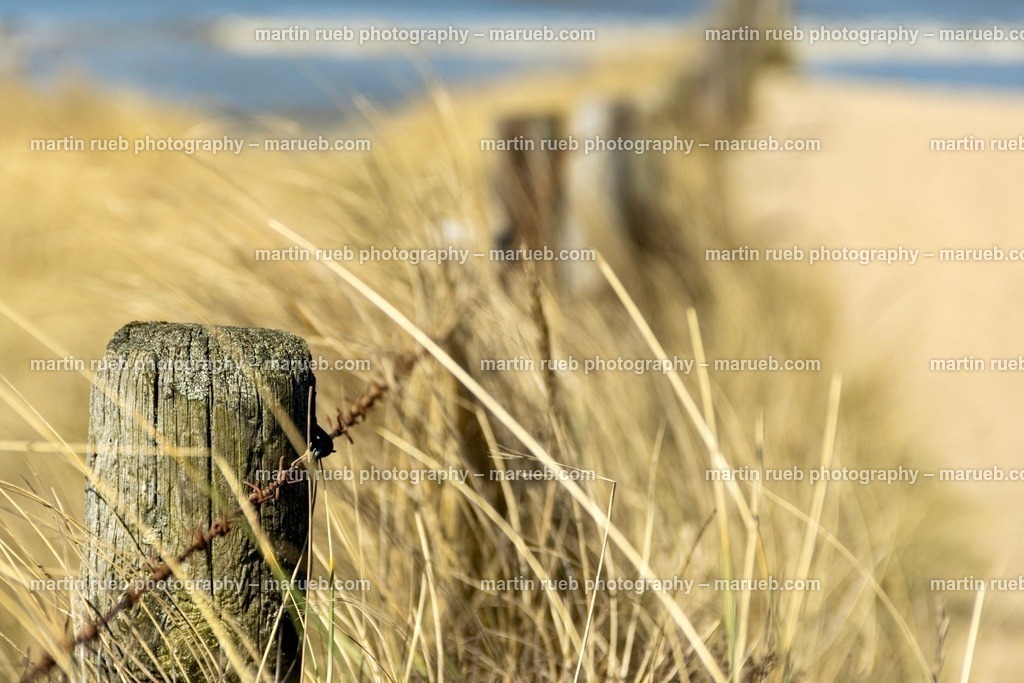 Wood and wire | Barbed wire leads the way to the North Sea  - Realisiert mit Pictrs.com