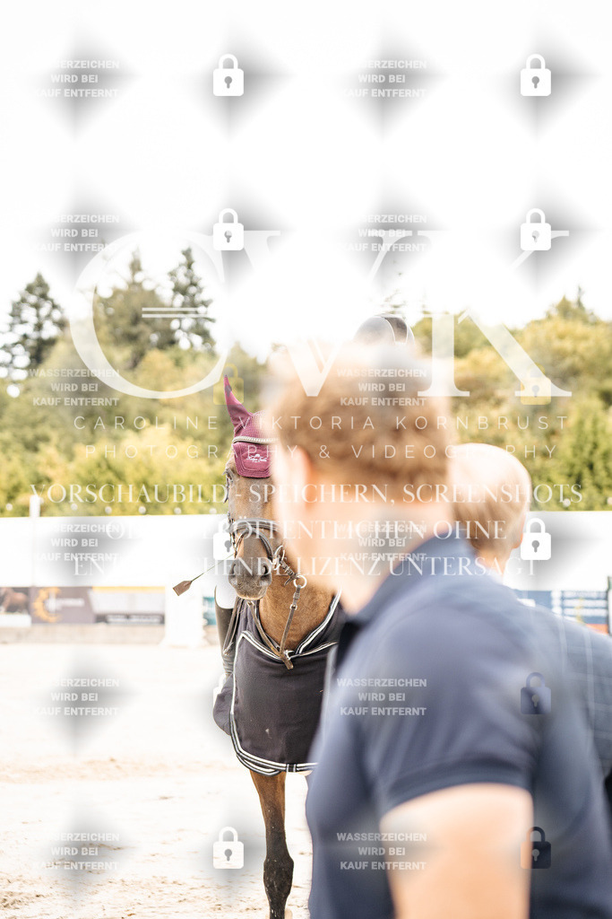 CK704860 | Turnierfotografie Pferdefotografie Trier Rheinland-Pfalz Pferdesport Reitsport Tierfotografie Sportfotografie Pferdevideo Pferdevideografie Equestrianvideography equestrianphotography  - Realisiert mit Pictrs.com