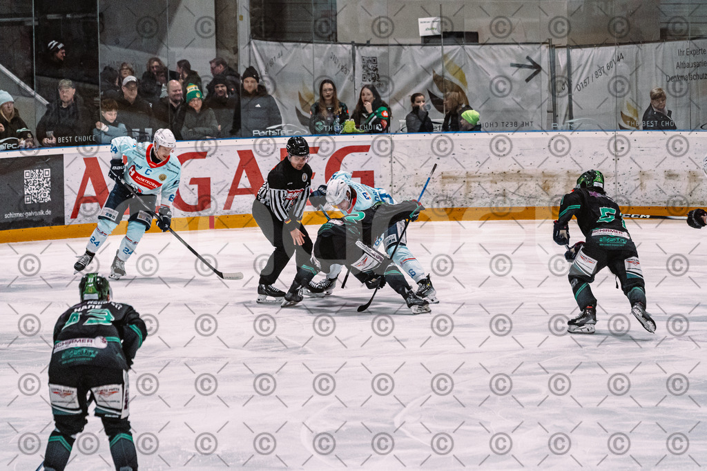 Alligators_vs_Heilbronn_08_02_2026-10 | Höchstadt Alligators Fotogalerie: Eishockey-Action aus Franken. Professionelle Spielfotos, Portraits & Stadionbilder zum Download. Jetzt entdecken! - Realized with Pictrs.com