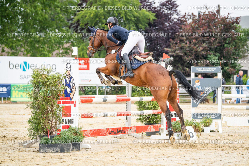 DSC09967 | Pferdegrafie