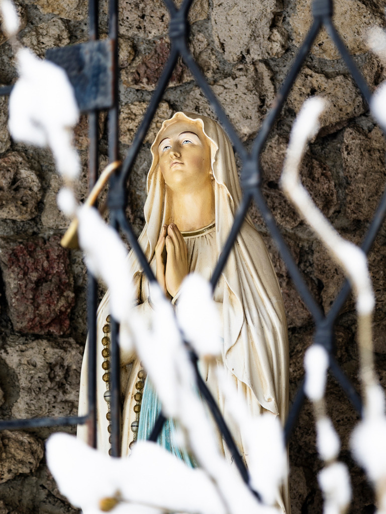 _ 3382_WINTER26_8021 | WInteraufnahmen Loosdorf 2026