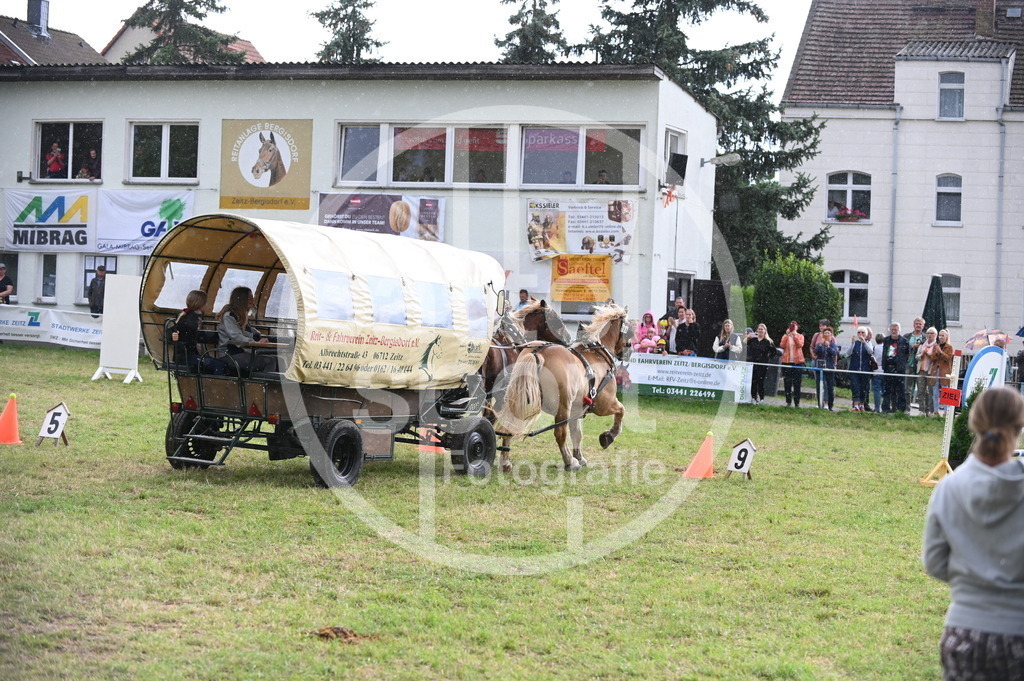 DSC_8733 | sattelsport - Realisiert mit Pictrs.com