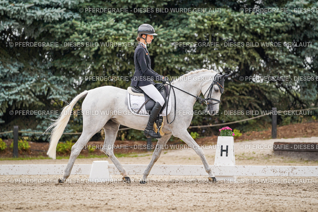 DSC02092 | Pferdegrafie