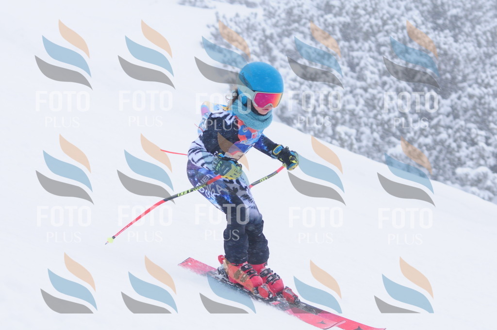 C1858 | holidayphoto