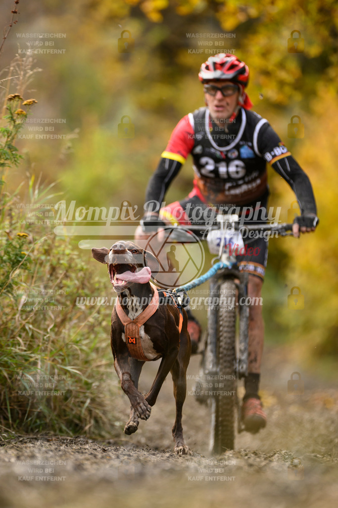 MompixPhotography_ICF_WC_2024_SA_Bike_-366 | PayLife