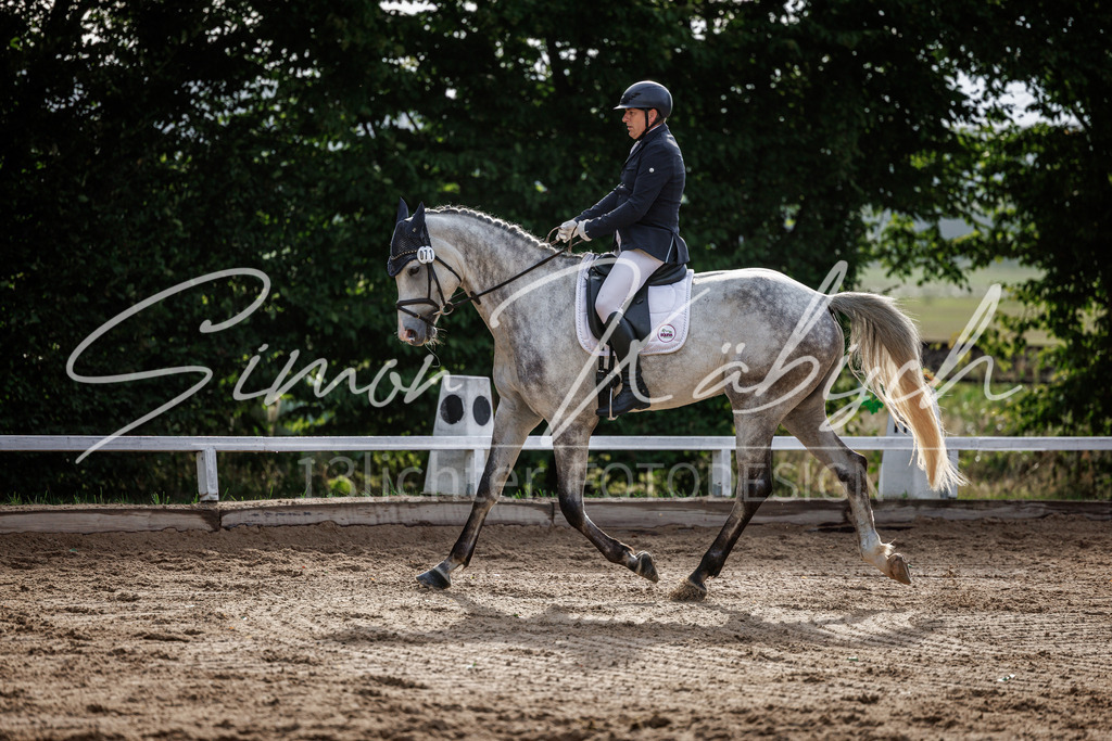 20260905-_3LI6994 | Tierfotografie Pferde, Hunde, Katzen, Haustiere.
Turnierfotografie Reitturniere, Reiten, Springreiten, Dressur in Hanau, dem Main-Kinzig-Kreis und dem Rhein-Main- Gebiet um Frankfurt