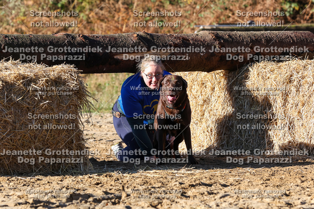 Dog Paparazzi - Strongdog 10-25-1664 | Dog Paparazzi Jeanette Grottendiek Fotografie & Videografie - Realisiert mit Pictrs.com