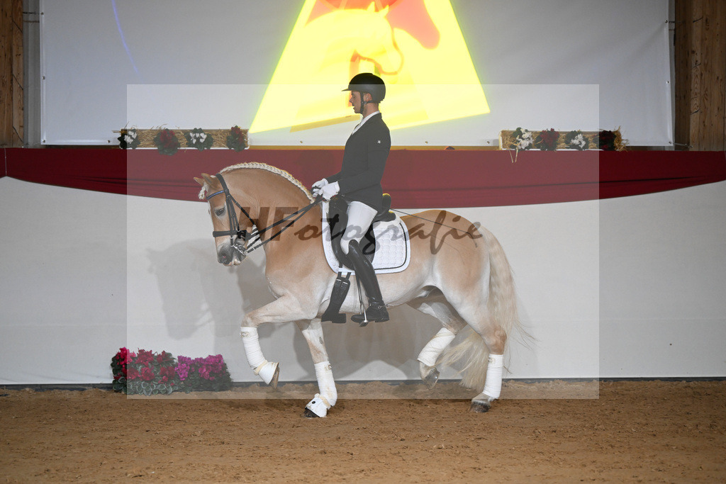 Amiro_1234338 | hf-fotografie - Realisiert mit Pictrs.com