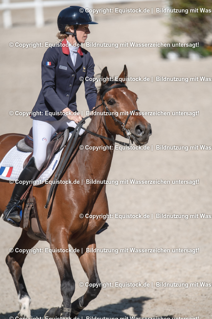 20240512_CCI2-L_Show-Jumping_0011 | Foto: Thomas Hartig