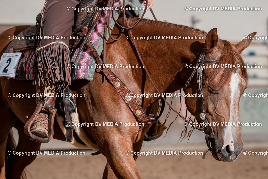 LM Heiligenwald Tag 3-254 | dv-media-shop - Realisiert mit Pictrs.com