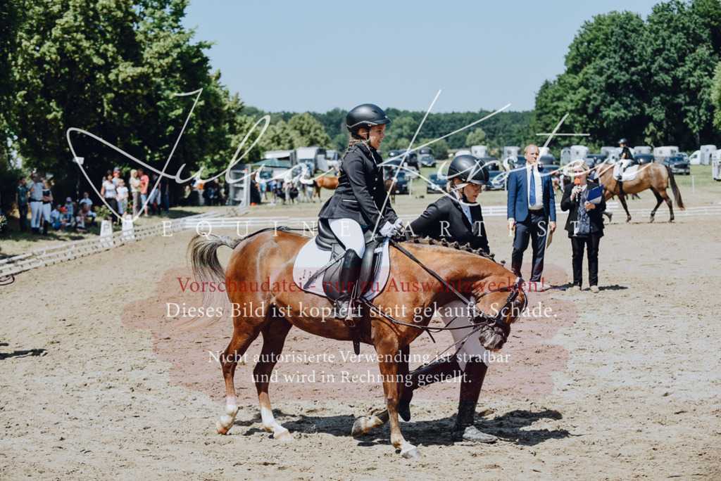 DSC_2465 | Pferde- und Turnierfotografie in Westsachsen. Pferdeportraits, Auftragszeichnungen und intuitive Kunst.