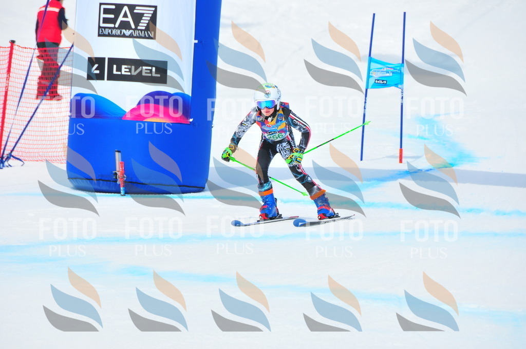 DSC_2376 | holidayphoto