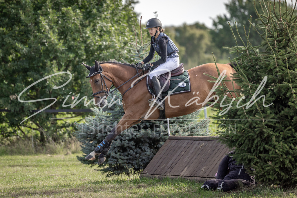 20250907-_3LI9330 | Tierfotografie Pferde, Hunde, Katzen, Haustiere.
Turnierfotografie Reitturniere, Reiten, Springreiten, Dressur in Hanau, dem Main-Kinzig-Kreis und dem Rhein-Main- Gebiet um Frankfurt