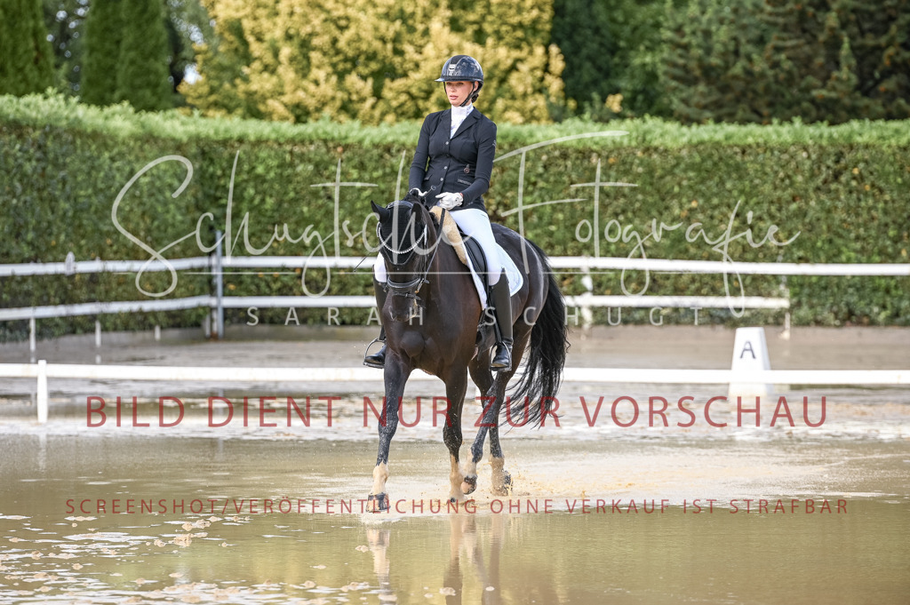 Schugtsche-Aluta25-54.Dressurprf.L1Trense-181 | Schugtsche Fotografie - Realisiert mit Pictrs.com