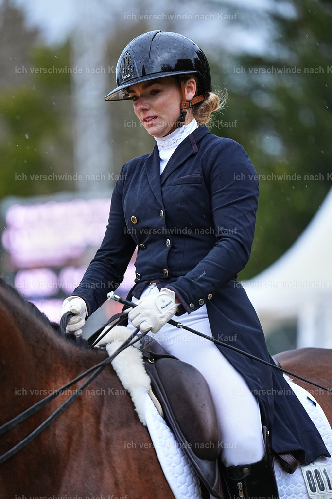 8_1-001-Klasse S_  -Marixx-4318 | working equitationturnier fotograf videograf stoibphotography marixx film working equitation deutschland reitsport turnierfotografie eventfotografie equestrian events