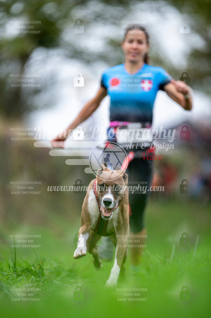 TSB_2023_E8_Canicross-135 | PayLife