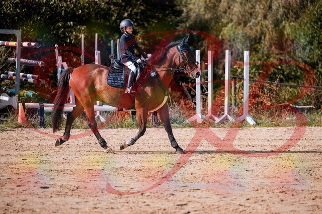 2026_10_03_Siefer-Hof_143727_Z81_05982675 | Professionelle Reitsport-, Turnier- und Eventfotografie von Robert Broda. Galerien mit ausgewählten und bearbeiteten Bildern direkt online ansehen und bestellen.