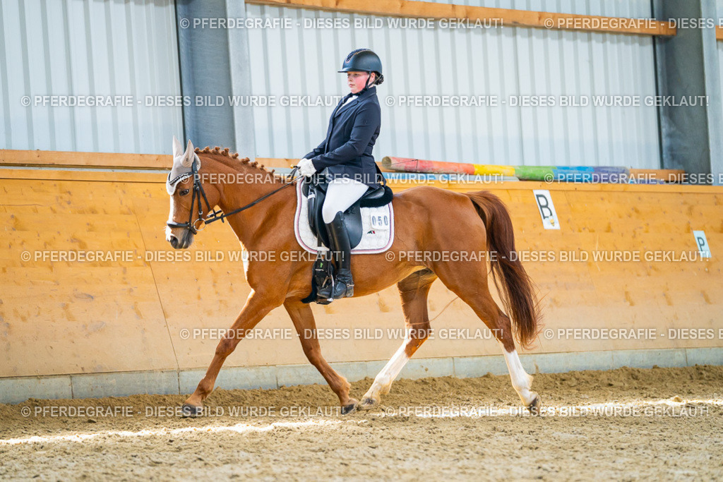 DSC08800 | Pferdegrafie