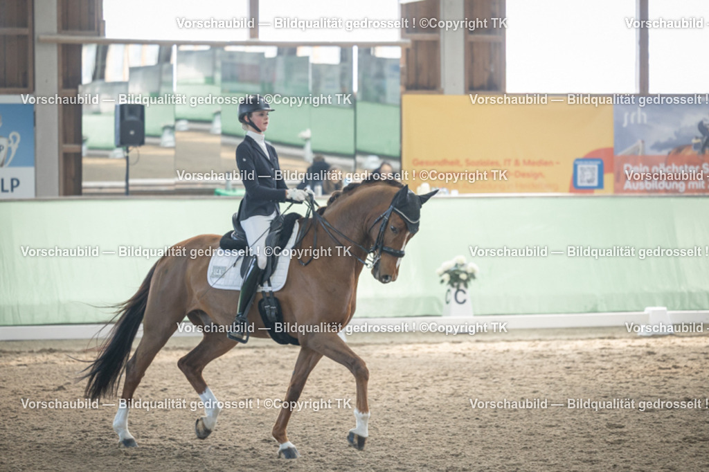 _D5A4422 | Emotionale Pferde- & People-Fotografie rund um Heidelberg, Leimen & Umgebung. Natürliche Fotos von Pferd, Mensch & Familie. Jetzt Termin sichern!