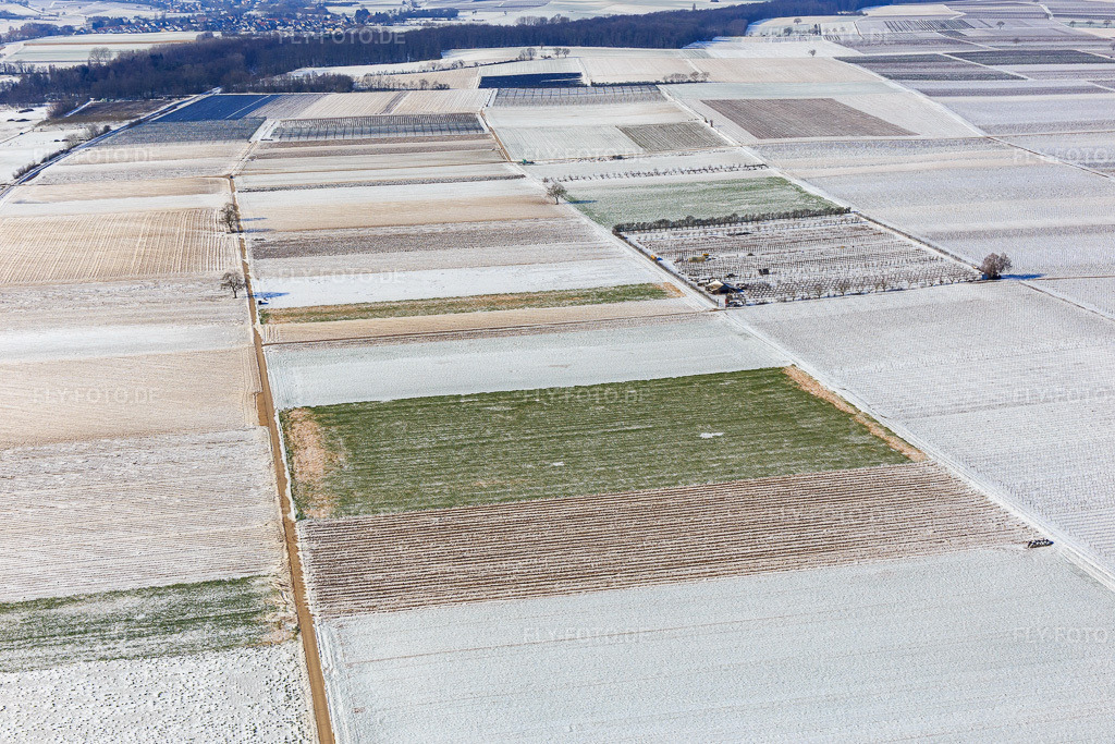 Luftbild: Mit Schnee bedeckte Felder und Obstplantage im Winter in Billigheim-Ingenheim im Bundesland Rheinland-Pfalz in Deutschland. Foto: IMG_124774.jpg vom 11.02.2021 durch Werner Riehm/FLY-FOTO.de