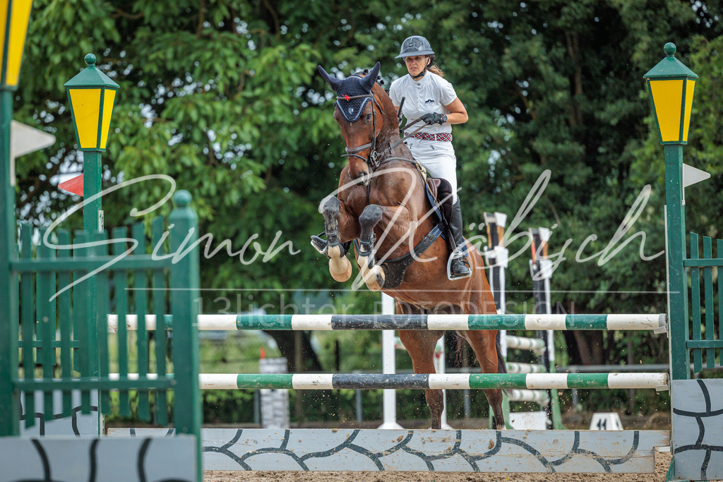 20260530-_3LI2909 | Tierfotografie Pferde, Hunde, Katzen, Haustiere.
Turnierfotografie Reitturniere, Reiten, Springreiten, Dressur in Hanau, dem Main-Kinzig-Kreis und dem Rhein-Main- Gebiet um Frankfurt
