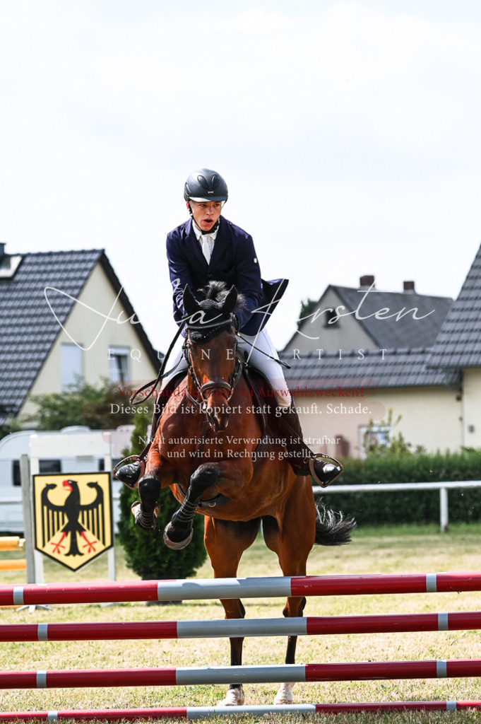 DSC_8947 | Pferde- und Turnierfotografie in Westsachsen. Pferdeportraits, Auftragszeichnungen und intuitive Kunst.