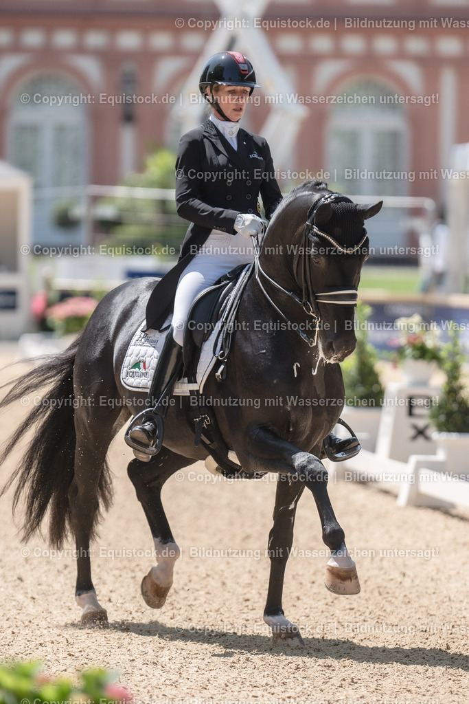 20230528_03_GP-Special-Tour_0253 | equistock