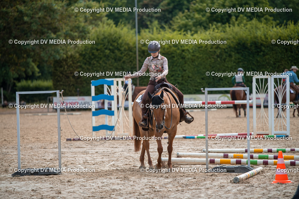 ZS3_9295 | dv-media-shop - Realisiert mit Pictrs.com