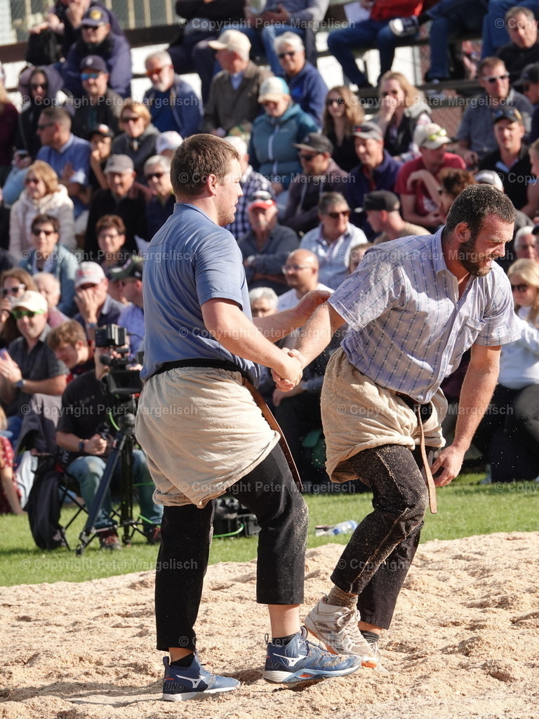 DSC05627 | Schwingen - Realisiert mit Pictrs.com
