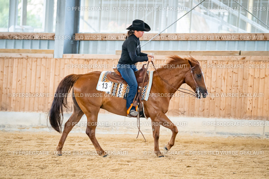 DSC09217 | Pferdegrafie