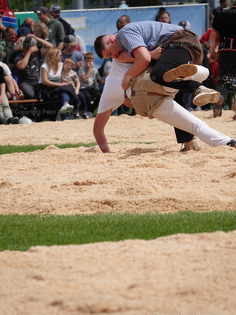 DSC06395 | Schwingen - Realisiert mit Pictrs.com