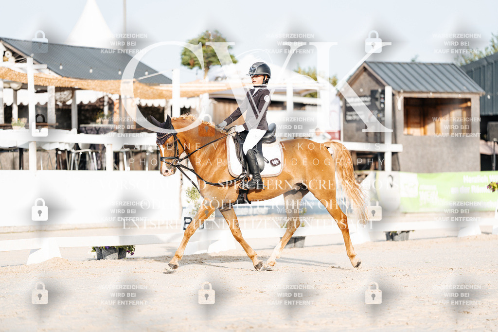 CK903718 | Turnierfotografie Pferdefotografie Trier Rheinland-Pfalz Pferdesport Reitsport Tierfotografie Sportfotografie Pferdevideo Pferdevideografie Equestrianvideography equestrianphotography  - Realisiert mit Pictrs.com