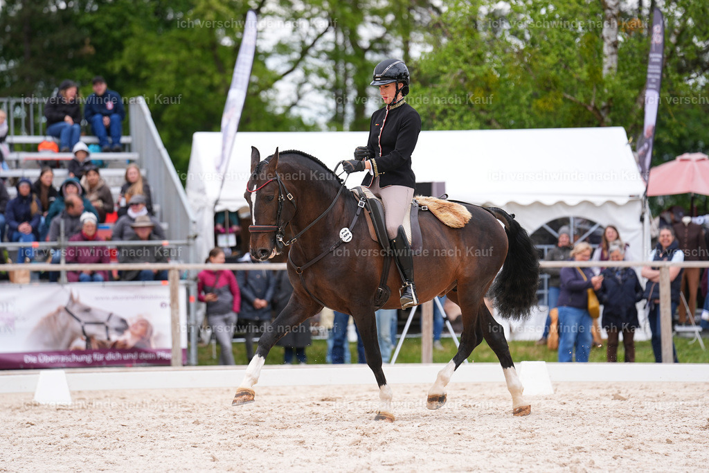 PI26_DR_261_StoibphotographySIN09172.jpg | working equitationturnier fotograf videograf stoibphotography marixx film working equitation deutschland reitsport turnierfotografie eventfotografie equestrian events